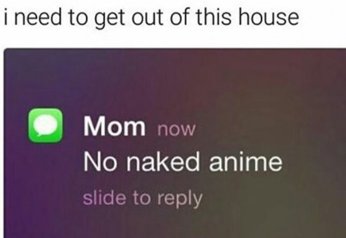 memes - anime on crack memes - i need to get out of this house Mom now No naked anime slide to