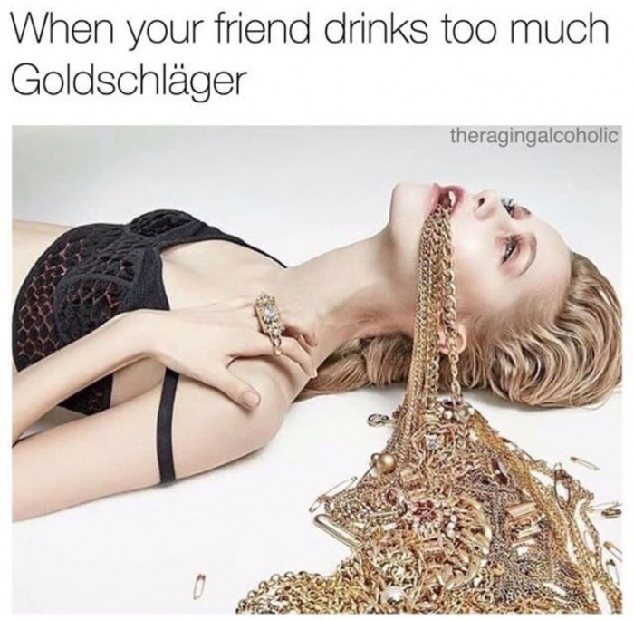 memes - When your friend drinks too much Goldschlger theragingalcoholic