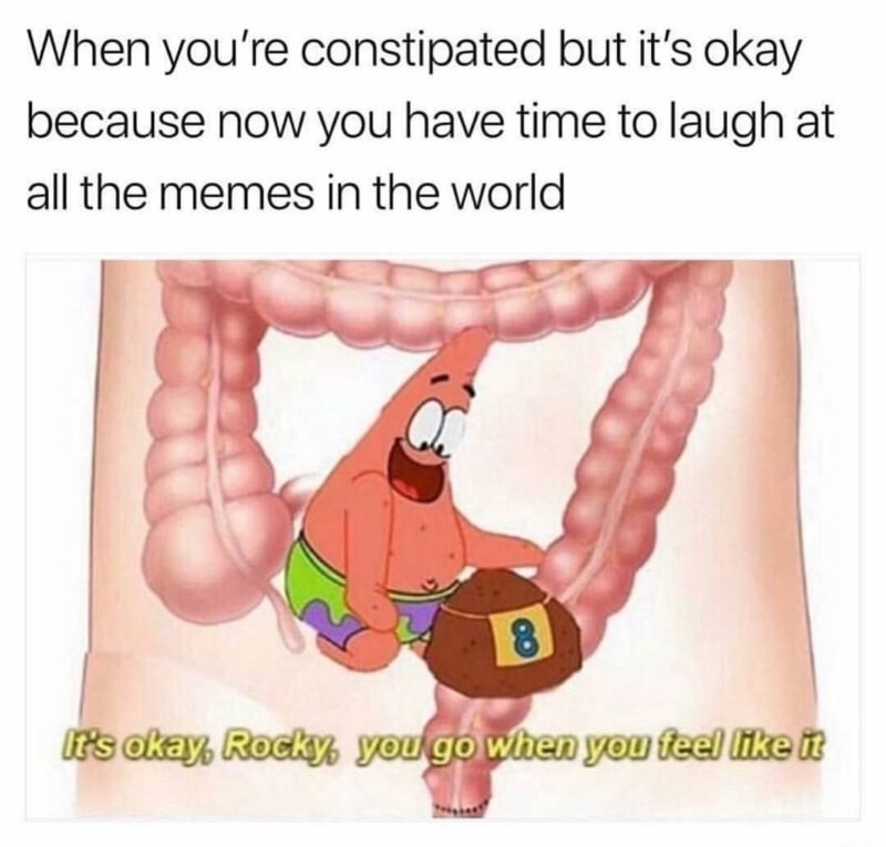 memes - you re constipated meme - When you're constipated but it's okay because now you have time to laugh at all the memes in the world It's okay Rocky you go when you feel it