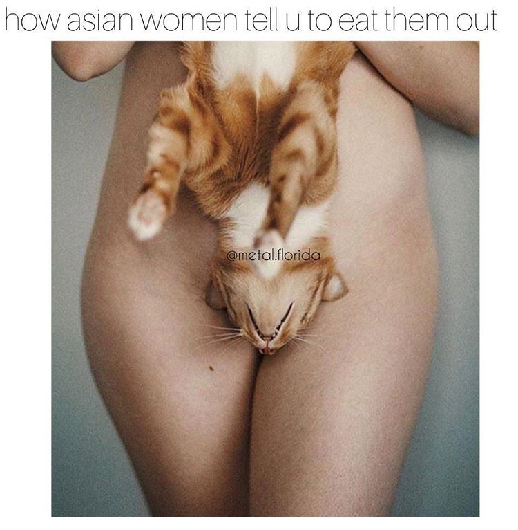 kitten - how asian women tell u to eat them out .florida