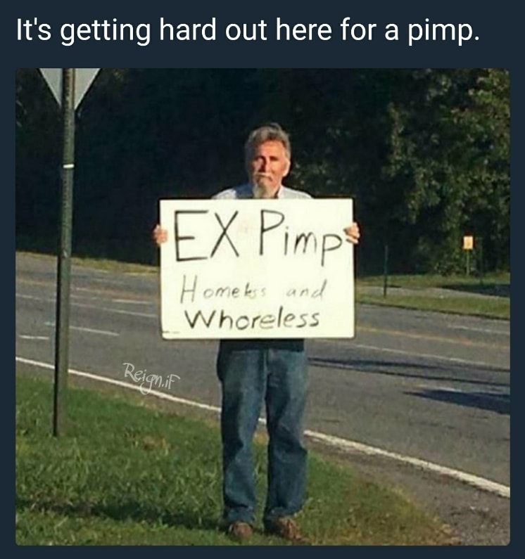 it's hard out here for a pimp - It's getting hard out here for a pimp. Ex Pimps Homeless and Whoreless Reign.if
