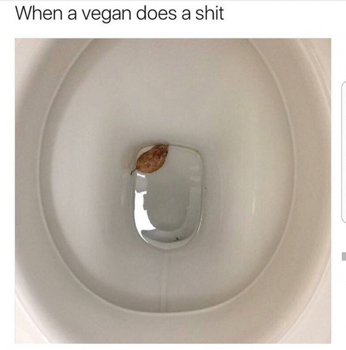 toilet seat - When a vegan does a shit