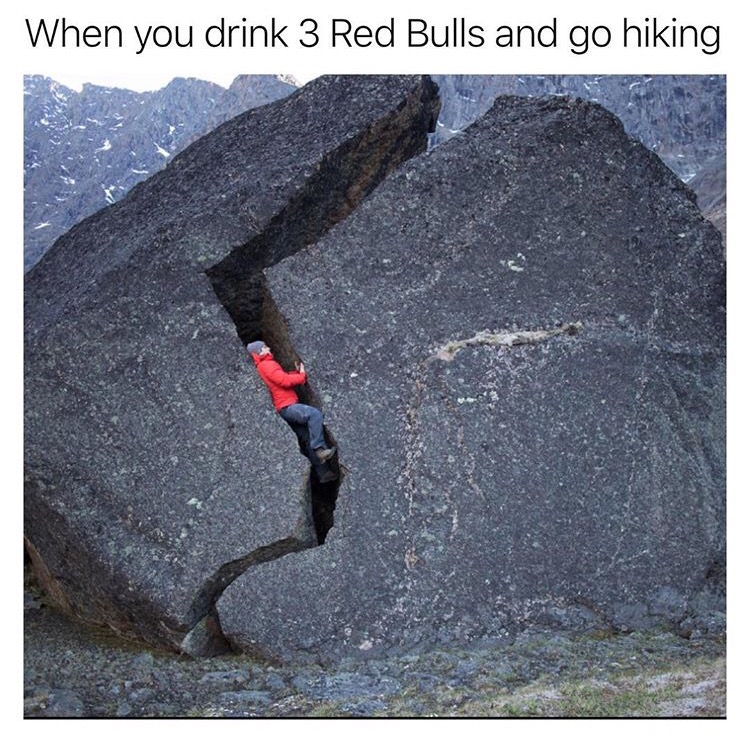 you go hiking meme - When you drink 3 Red Bulls and go hiking
