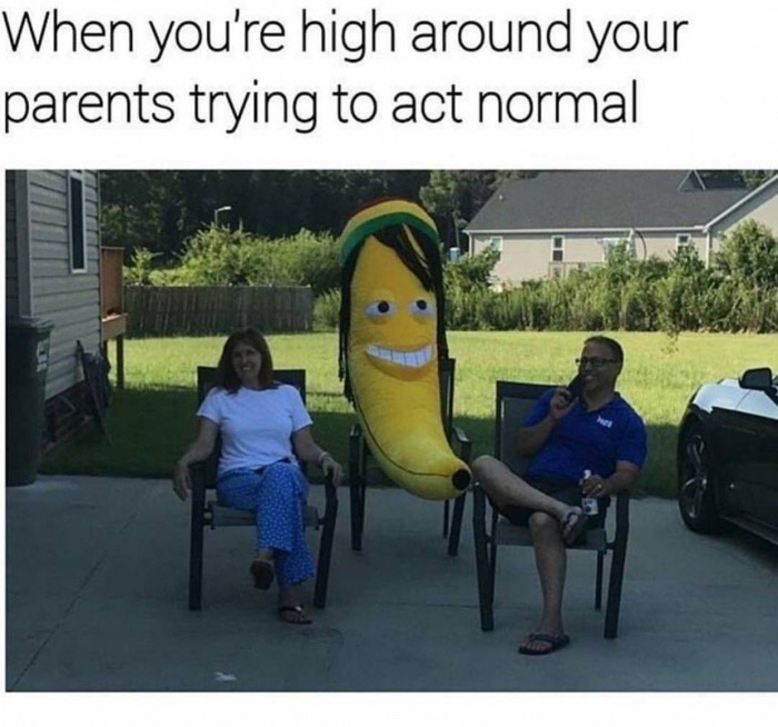 you re high trying to act normal - When you're high around your parents trying to act normal