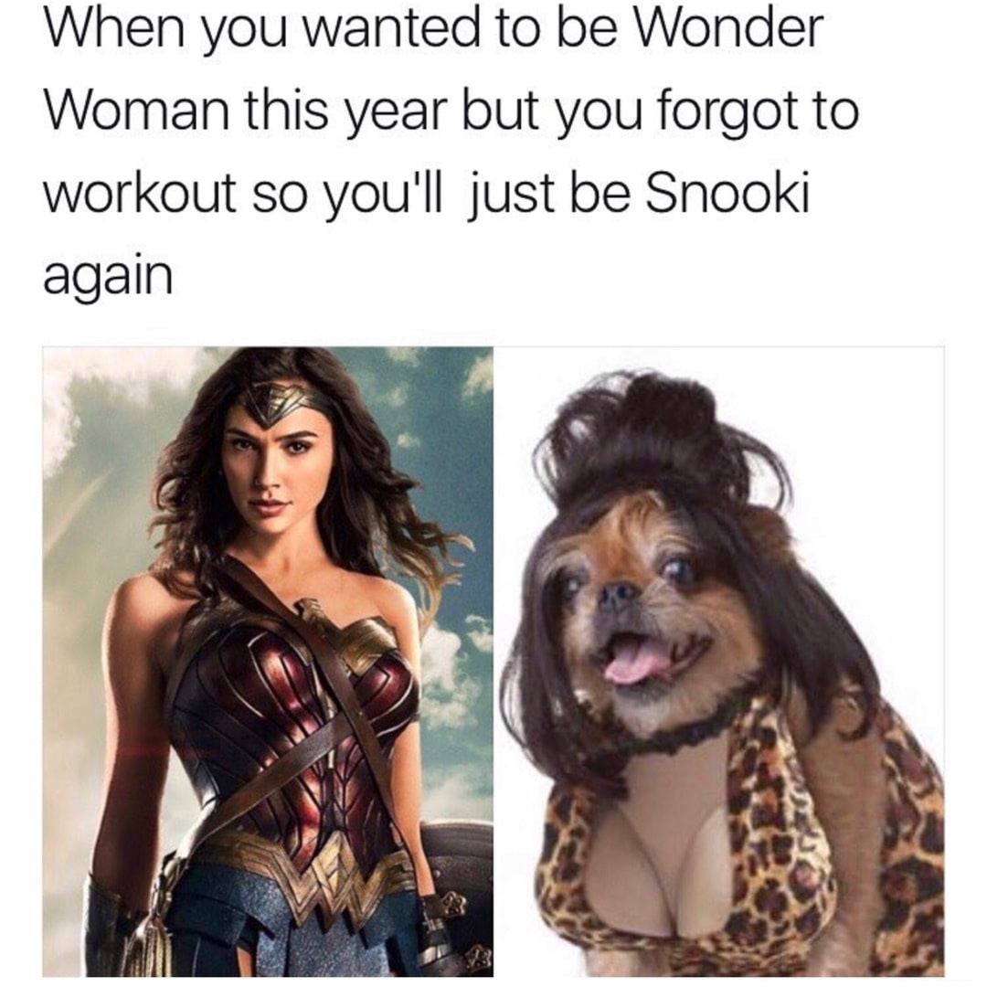 funny doggies - When you wanted to be Wonder Woman this year but you forgot to workout so you'll just be Snooki again