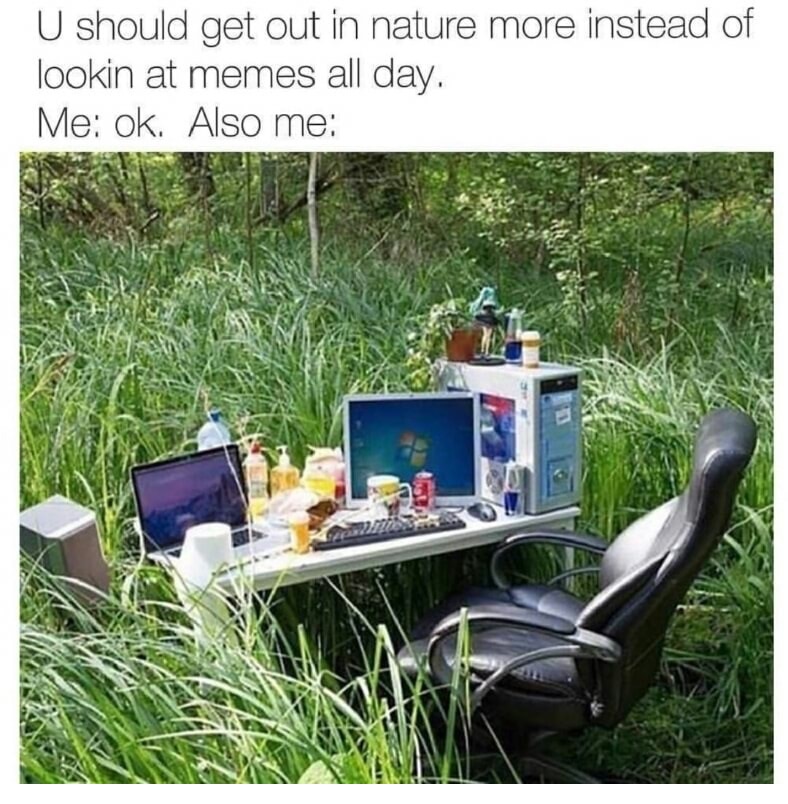 лето компьютер - U should get out in nature more instead of lookin at memes all day. Me ok. Also me Who