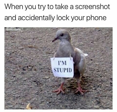 Stupid bird as when you try to take screen shot and accidentally lock your phone