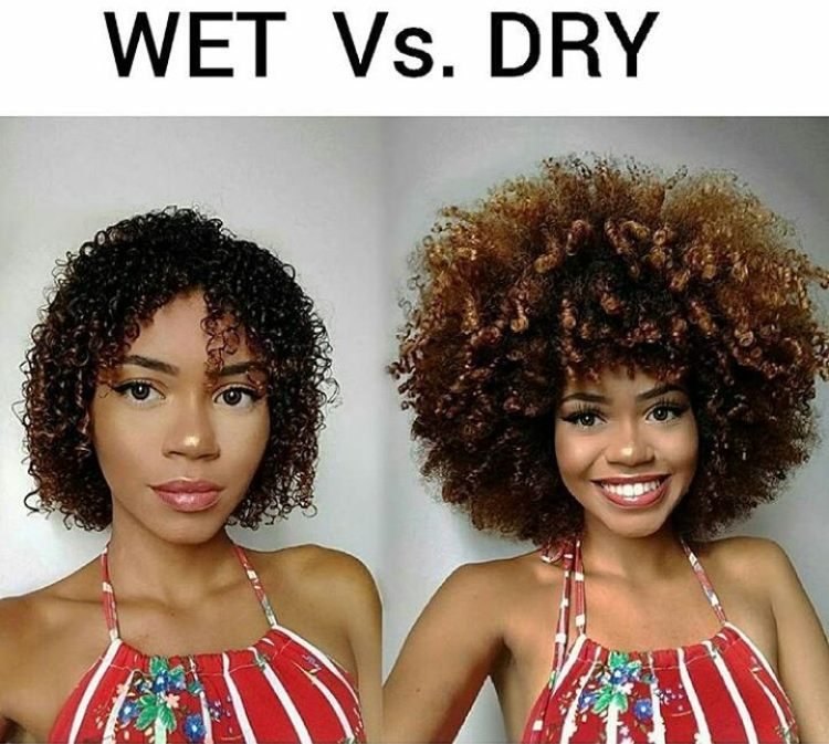 Wet Vs. Dry