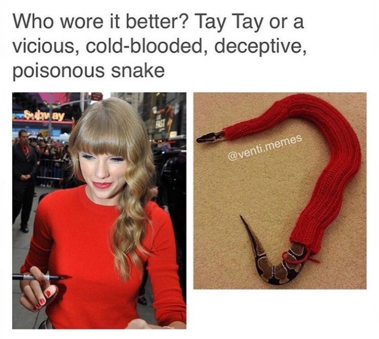 tay kay memes - Who wore it better? Tay Tay or a vicious, cold blooded, deceptive, poisonous snake to ay .memes