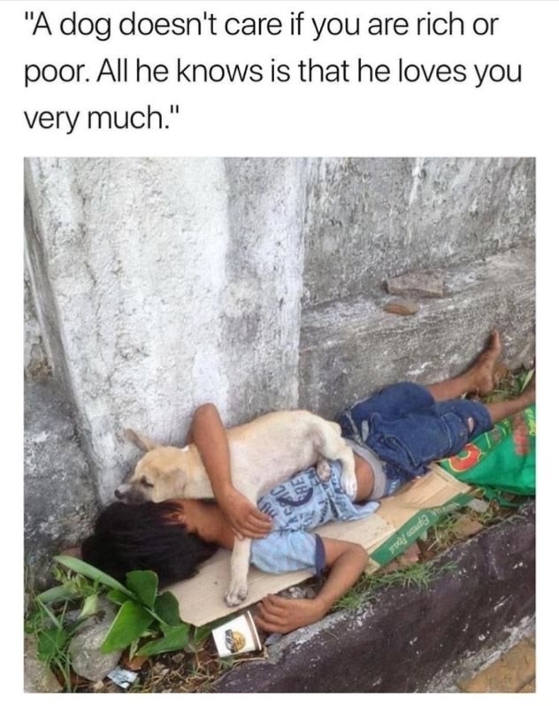 poor kids sleeping - "A dog doesn't care if you are rich or poor. All he knows is that he loves you very much."