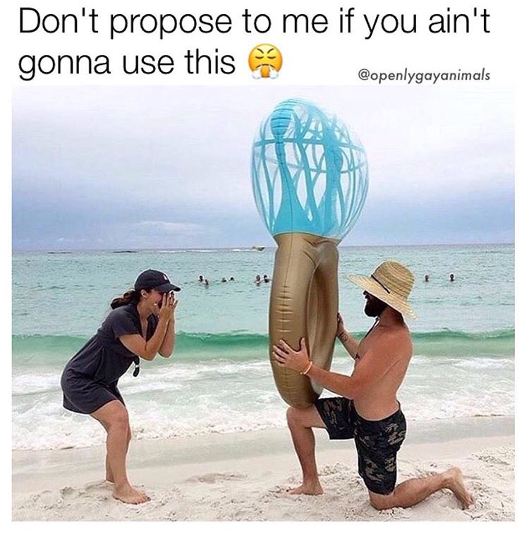 vacation - Don't propose to me if you ain't gonna use this