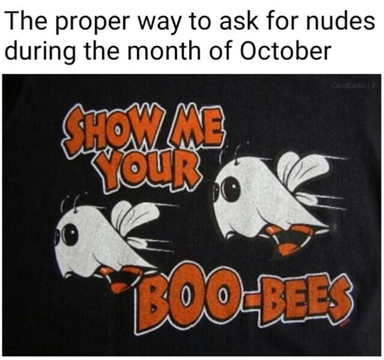 show me your boo bees meme - The proper way to ask for nudes during the month of October CarolExotic If Shomme Your TooBees