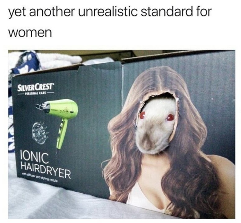 yet another unrealistic standard for women rat - yet another unrealistic standard for women Silvercrest Personal Care Ionic Hairdryer h ending orde