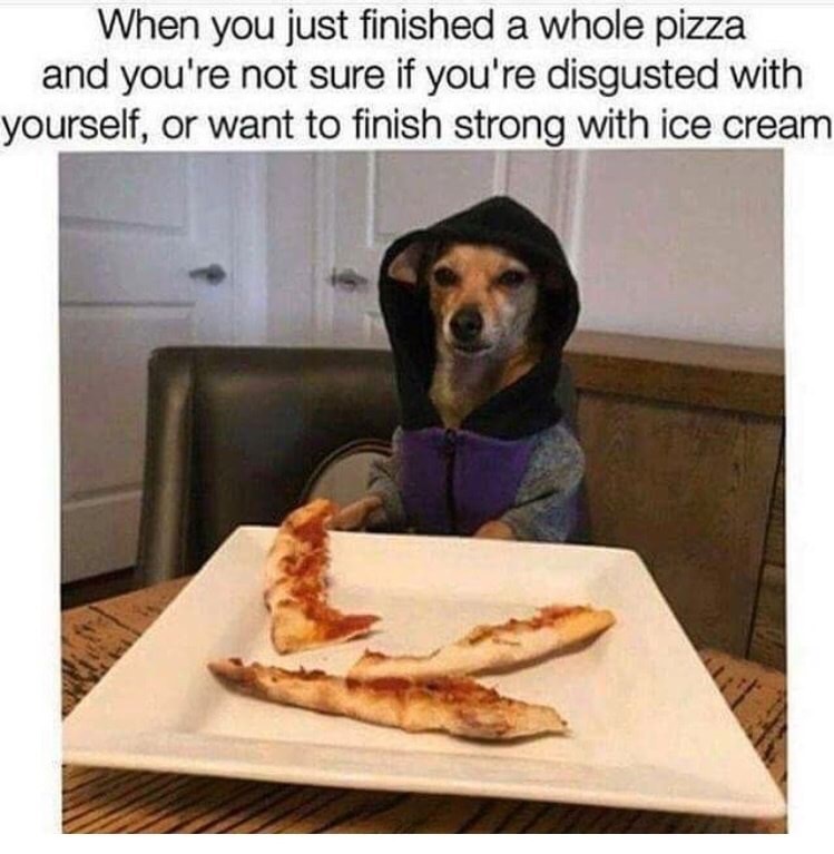 pizza funny meme - When you just finished a whole pizza and you're not sure if you're disgusted with yourself, or want to finish strong with ice cream