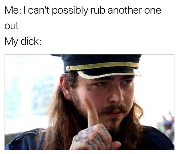 post malone memes reddit - Me I can't possibly rub another one out My dick