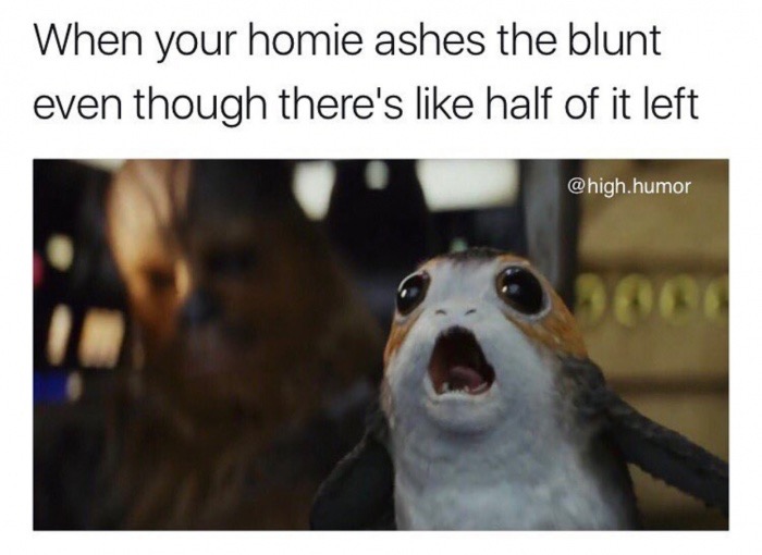 star wars the last jedi porg - When your homie ashes the blunt even though there's half of it left .humor