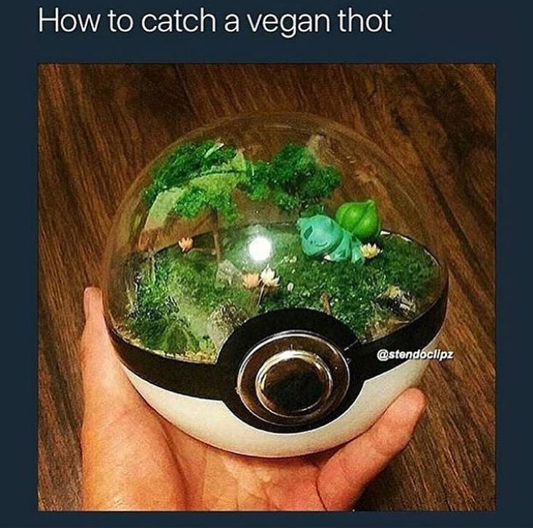 real pokeball - How to catch a vegan thot