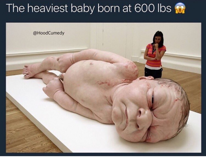 memes-  ron mueck baby - The heaviest baby born at 600 lbs