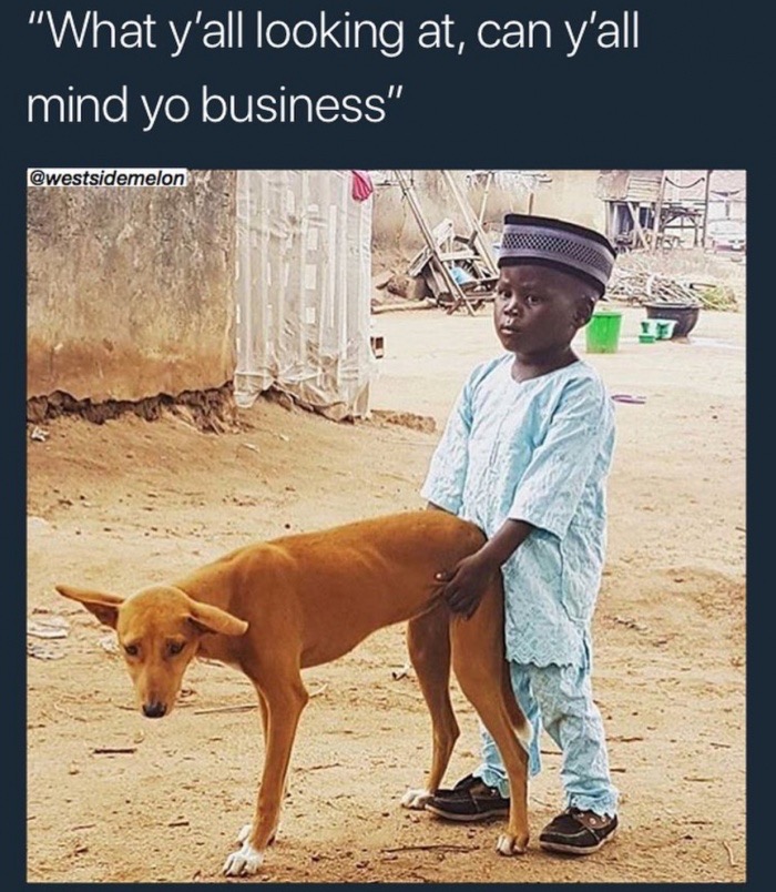 memes-  doggy boi - "What y'all looking at, can y'all mind yo business"