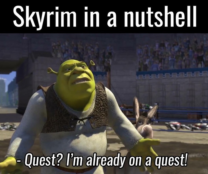 skyrim memes - Skyrim in a nutshell Lalalpurple Purpur Quest? I'm already on a quest!