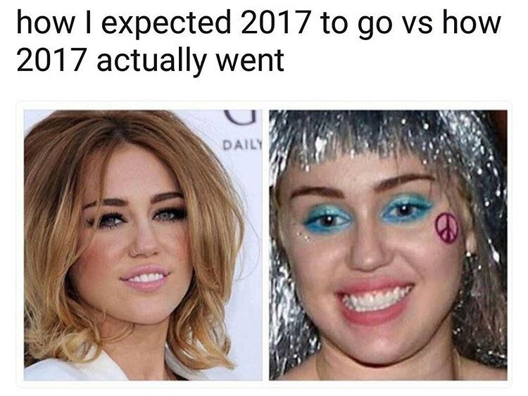 memes  - 2017 went meme - how I expected 2017 to go vs how 2017 actually went Daily