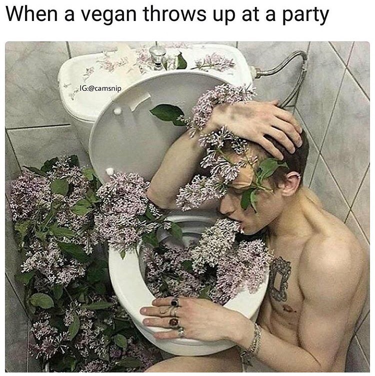 memes  - vegan throws up - When a vegan throws up at a party Ig