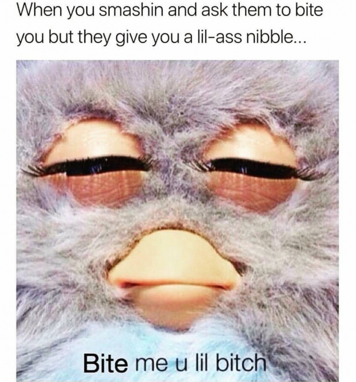 memes  - fight me lil bitch meme - When you smashin and ask them to bite you but they give you a lilass nibble... Bite me u lil bitch