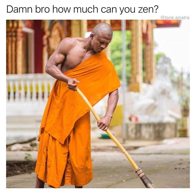 memes  - shaolin monk - Damn bro how much can you zen? .sinatra