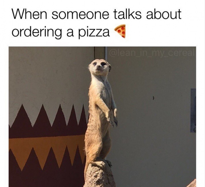 memes  - meerkat - When someone talks about ordering a pizza
