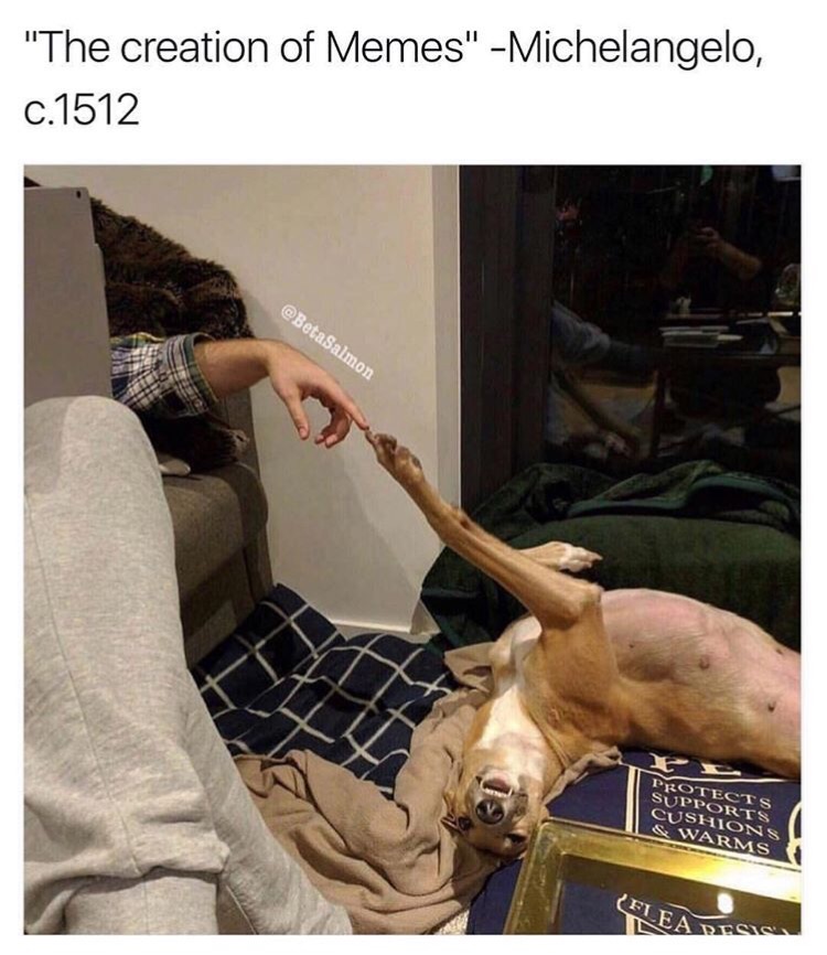 memes  - creation of doggo meme - "The creation of Memes" Michelangelo, C.1512 Protects Supports Cushions & Warms Silea Dess