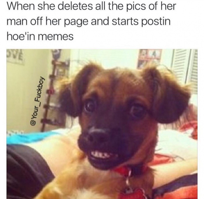 dog awkward - When she deletes all the pics of her man off her page and starts postin hoe'in memes