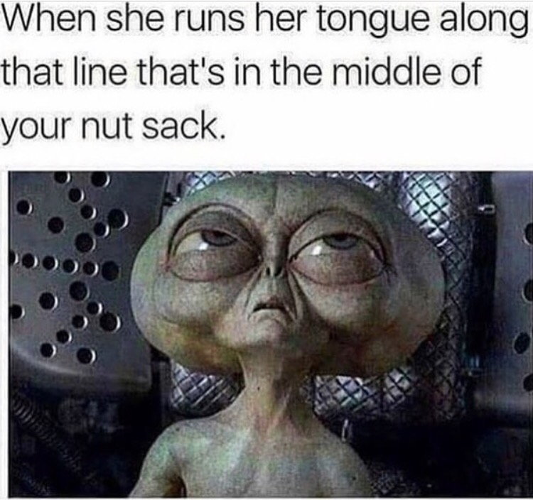 men in black alien in head - When she runs her tongue along that line that's in the middle of your nut sack.