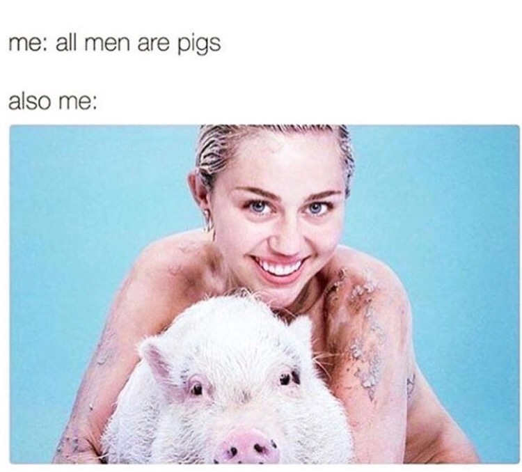 miley cyrus and the pig - me all men are pigs also me