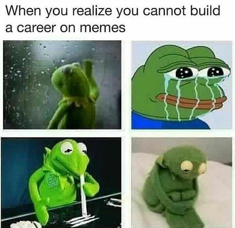Pepe and Kermit the frog in quad meme about how you feel when you realize you cannot build a career on memes.