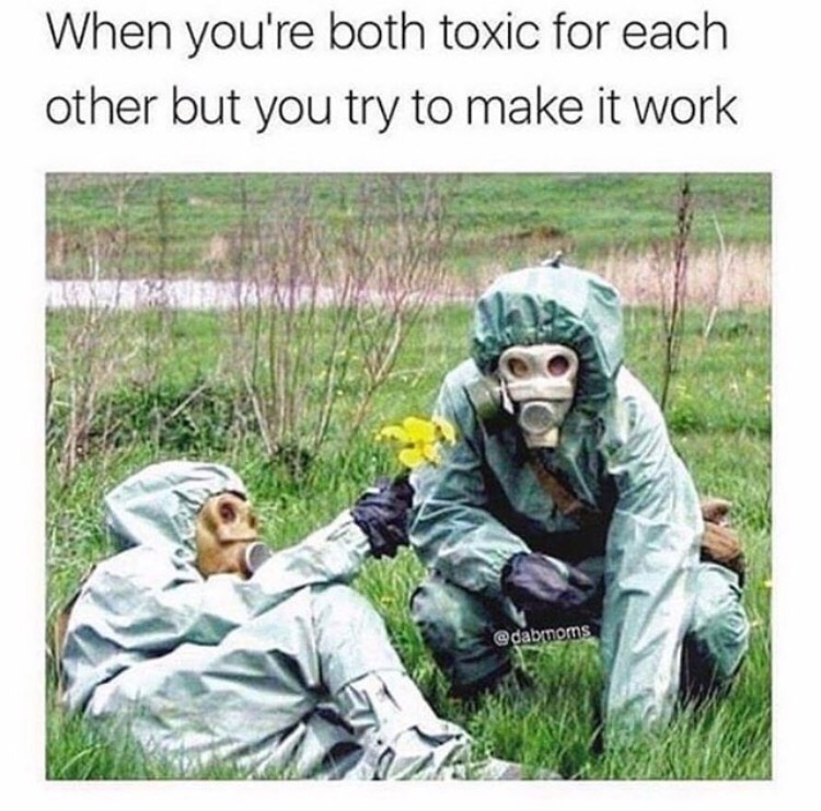 Funny meme of couple on the grass with flowers and full hazmat suit, captioned as when you are both toxic to each other but try to make it work