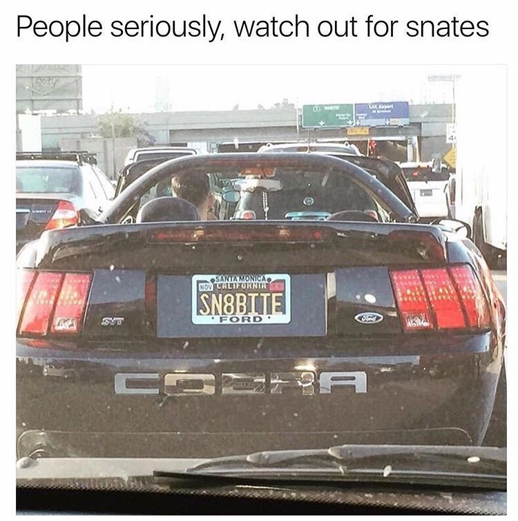 License plate that basically says snate bite