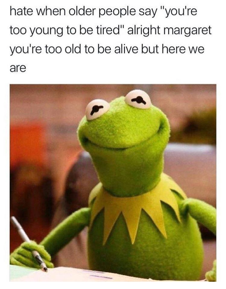 Kermit the frog meme of sassy answer when people say you are too young to be tired