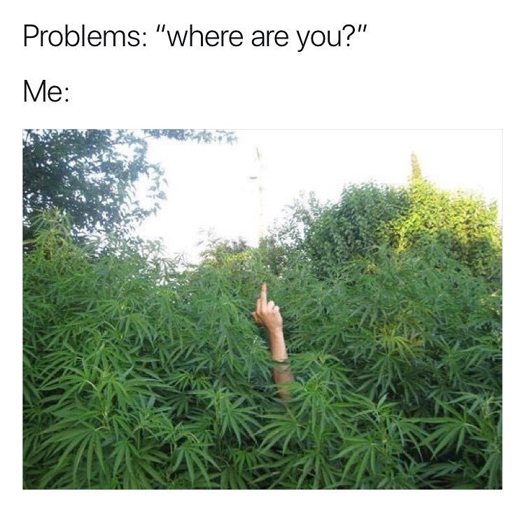 Man giving middle finger from a weed bush