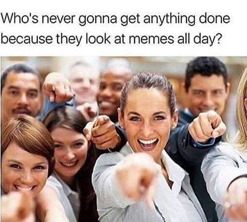 look at memes all day - Who's never gonna get anything done because they look at memes all day?