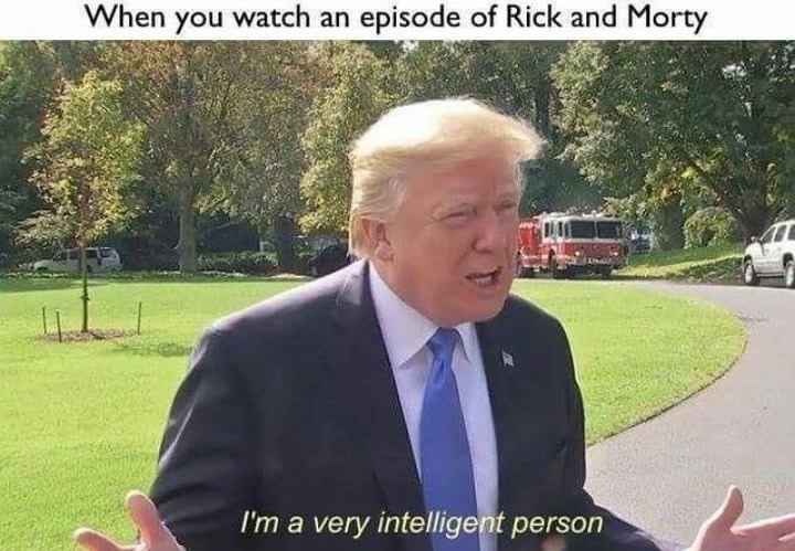dank meme i m a very intelligent person - When you watch an episode of Rick and Morty I'm a very intelligent person