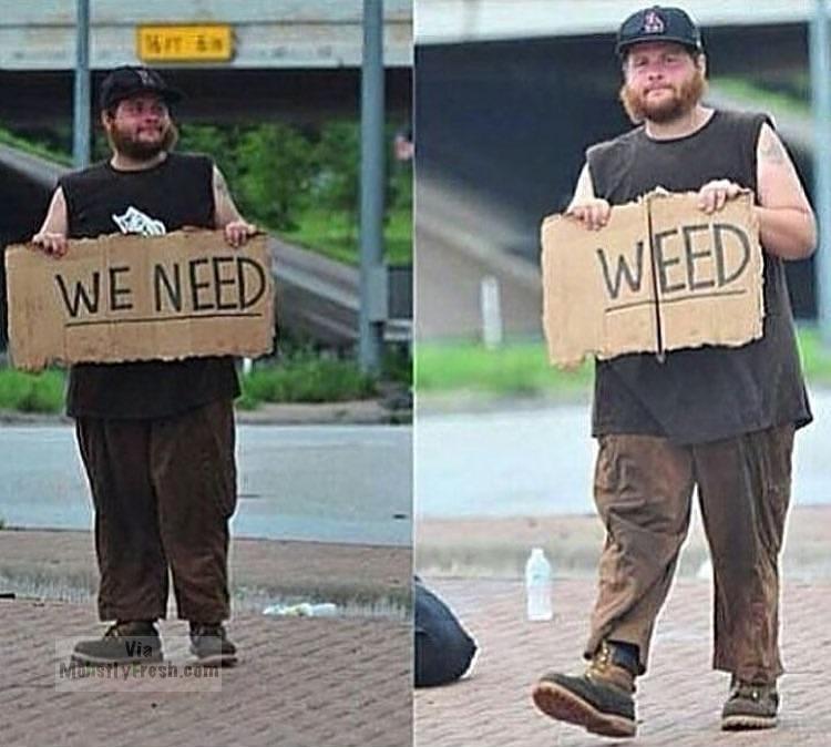 we need weed - We Need Weed Via Munstyresh.com