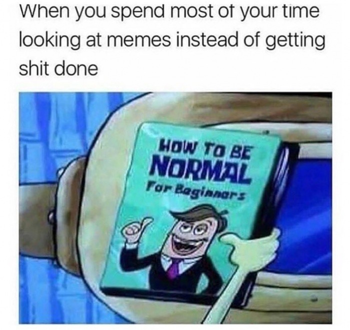 memes - normal book spongebob - When you spend most of your time looking at memes instead of getting shit done How To Be Normal For Beginners