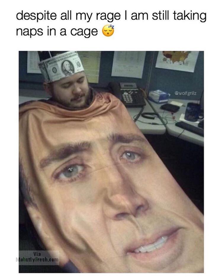 memes - see this as a absolute win meme - despite all my rage I am still taking naps in a cage Via lohstlyfresh.com