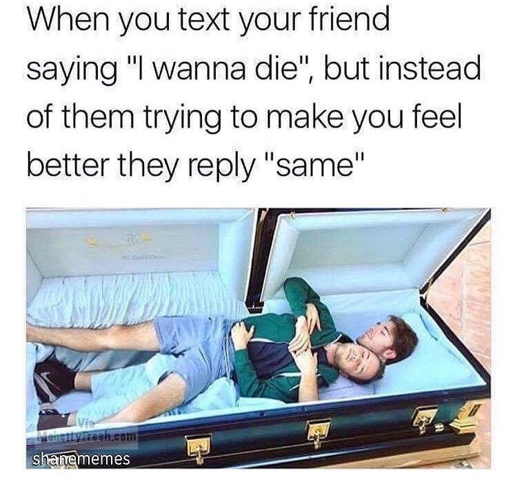 memes - shane and ryland in a coffin - When you text your friend saying "I wanna die", but instead of them trying to make you feel better they "same" Sl vesh.com shanememes