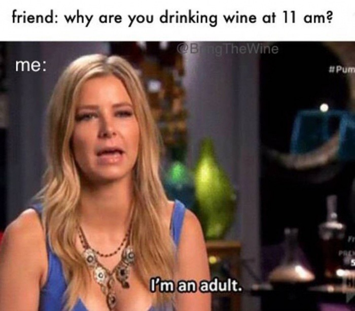 do you drink so much memes - friend why are you drinking wine at 11 am? BingTheWine me Pr I'm an adult.