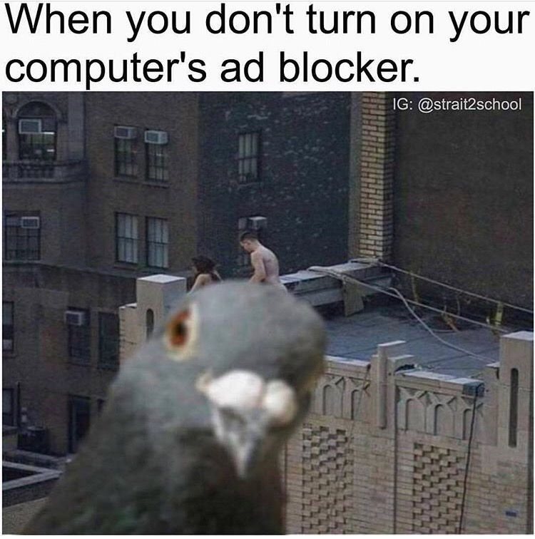 humans having sex - When you don't turn on your computer's ad blocker. Ig