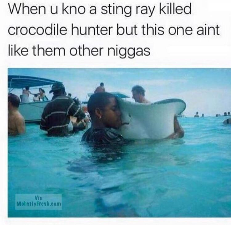 funny stingray - When u kno a sting ray killed crocodile hunter but this one aint them other niggas Via Mohstly Fresh.com
