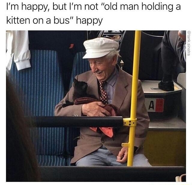 trending - happy old man with a kitten - I'm happy, but I'm not "old man holding a kitten on a bus" happy .sinatra