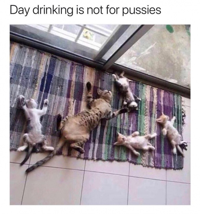 trending - sunday recovery meme - Day drinking is not for pussies