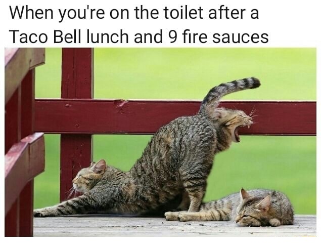 trending - dirty mind dirty funny memes - When you're on the toilet after a Taco Bell lunch and 9 fire sauces